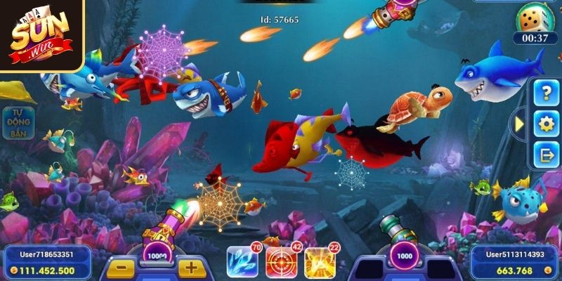 Lựa chọn vị trí săn cá 3D hợp lý